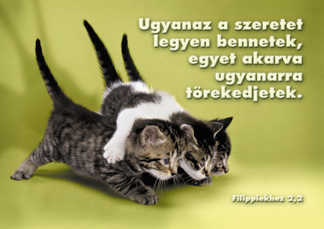 csendesnaphoz.jpg