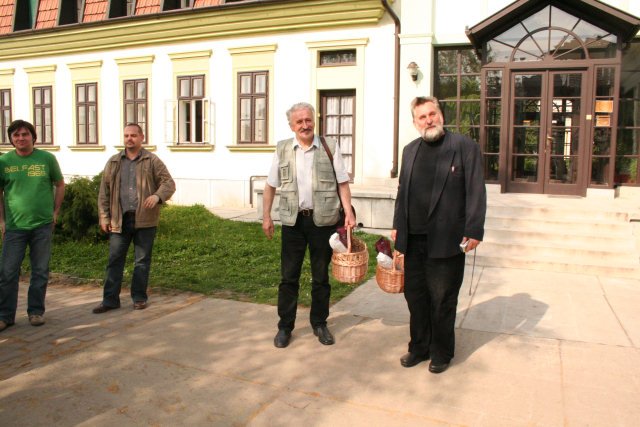 Madarat tolláról