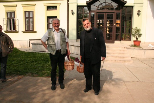 Madarat tolláról