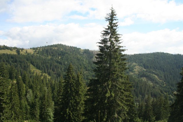 Erdély