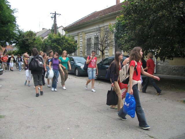Gólyanap