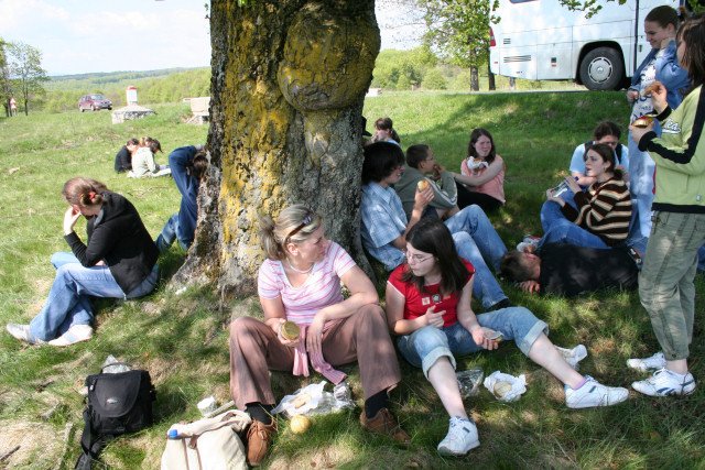 Segesvár