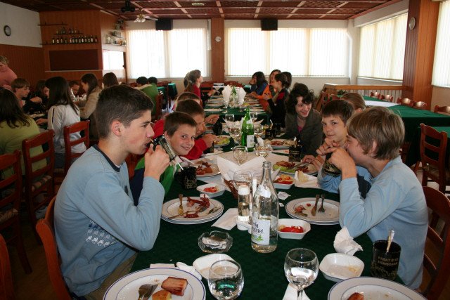 Segesvár