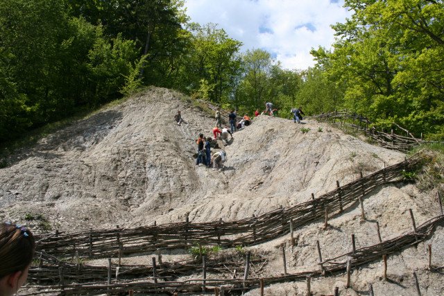 Segesvár