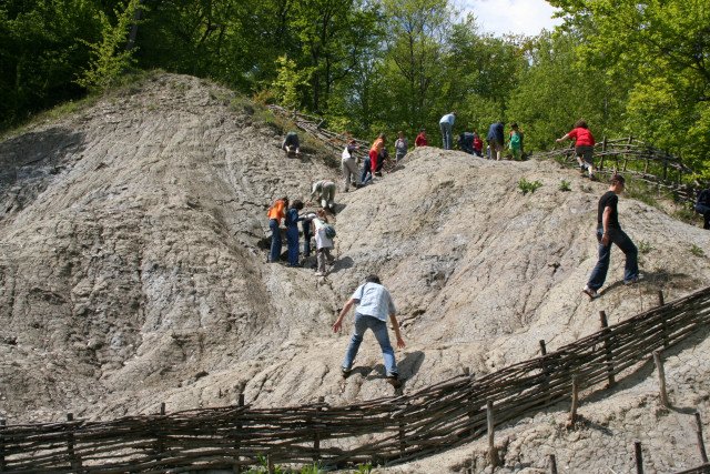 Segesvár
