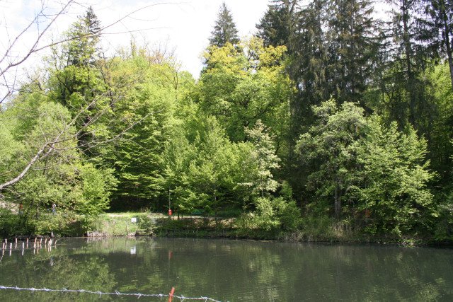 Segesvár