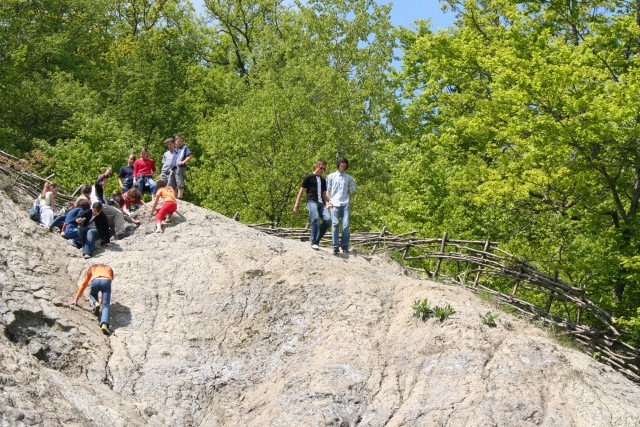 Segesvár
