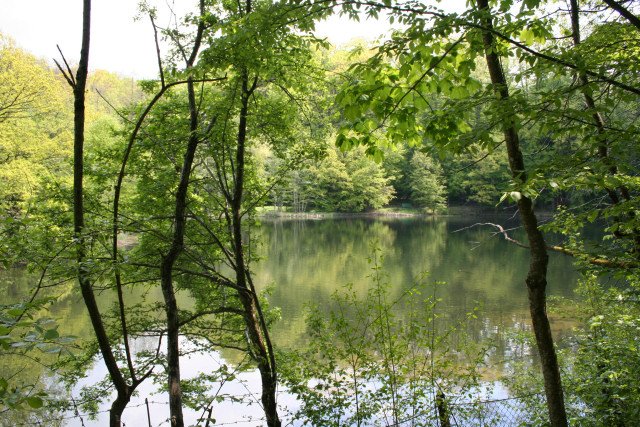 Segesvár