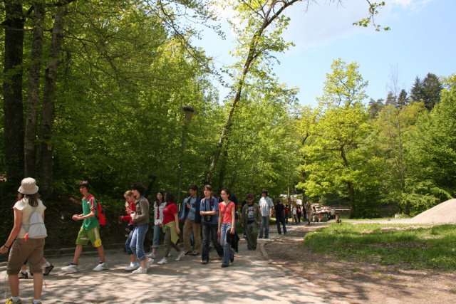 Segesvár