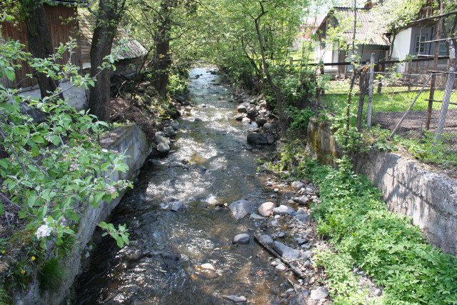 Segesvár