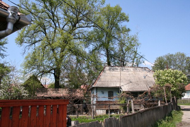 Segesvár