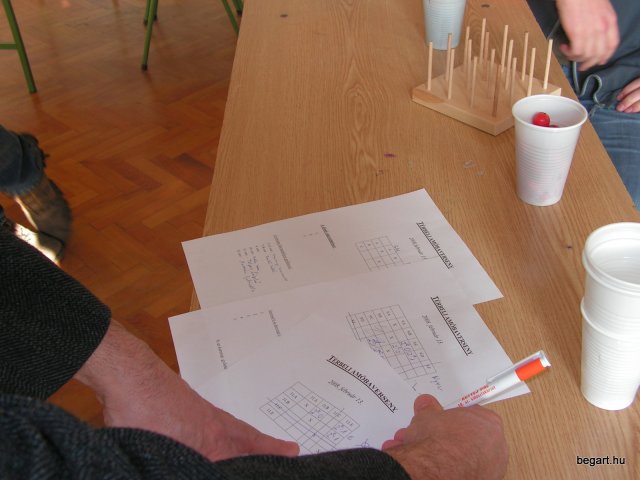 Matematika-informatika napok