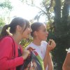2010 6.B osztály kirándult