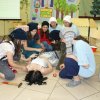 2010 9. D osztály évzáró előadása