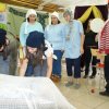 2010 9. D osztály évzáró előadása