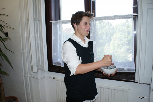 2010 DÖK nap