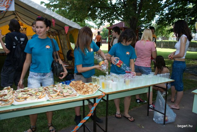 2010 DÖK nap
