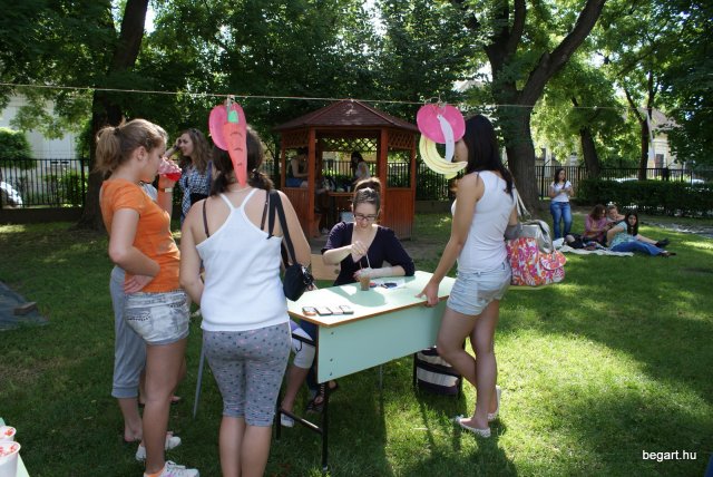 2010 DÖK nap