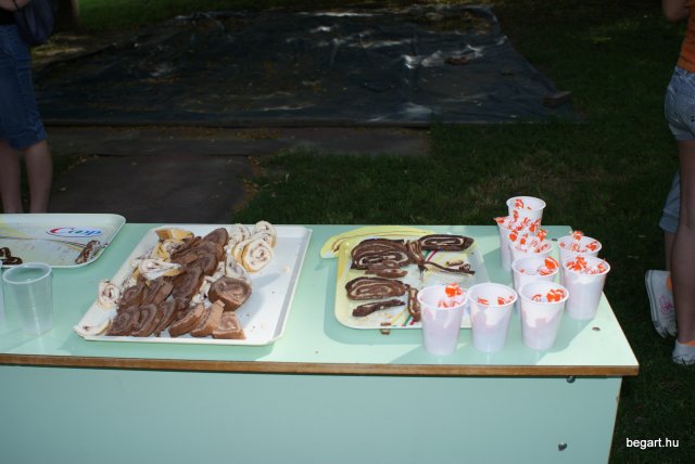 2010 DÖK nap