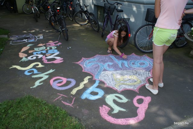2010 DÖK nap