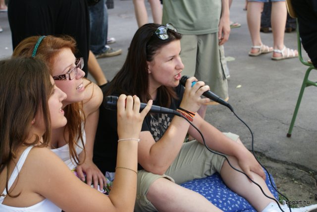 2010 DÖK nap