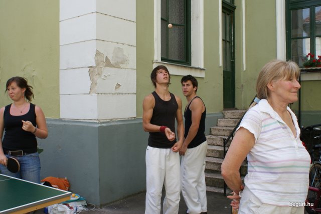 2010 DÖK nap