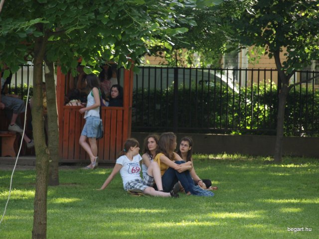 2010 DÖK nap