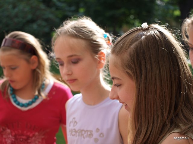 2010 DÖK nap
