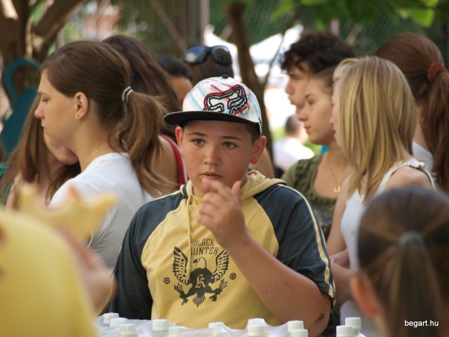 2010 DÖK nap