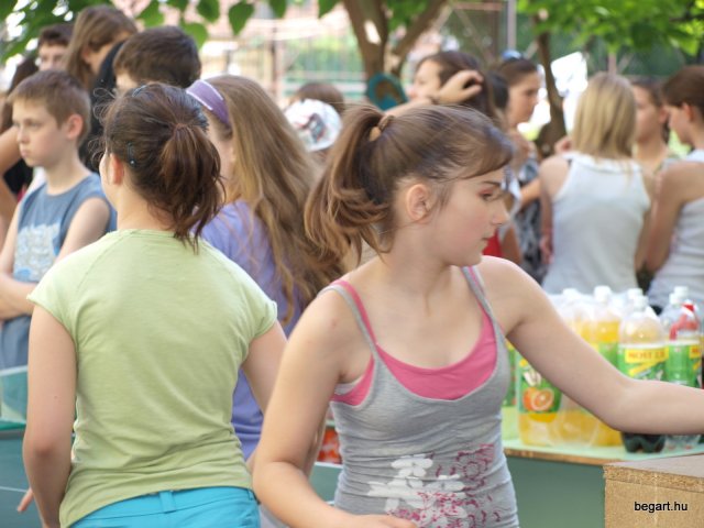 2010 DÖK nap
