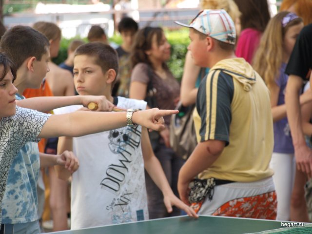 2010 DÖK nap