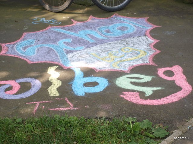 2010 DÖK nap