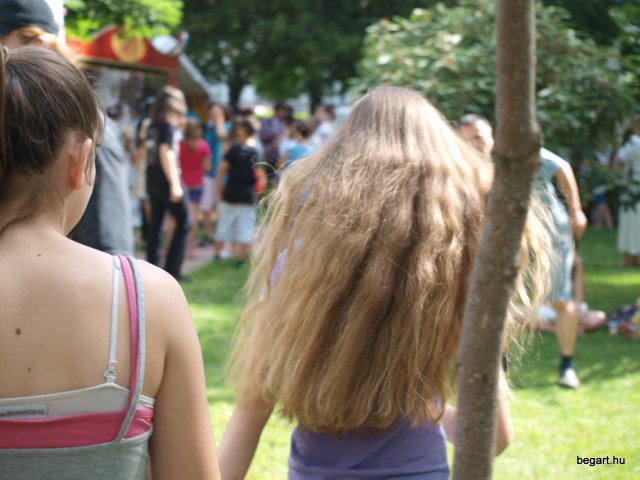2010 DÖK nap