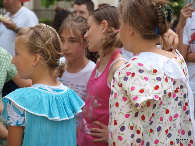 2010 DÖK nap