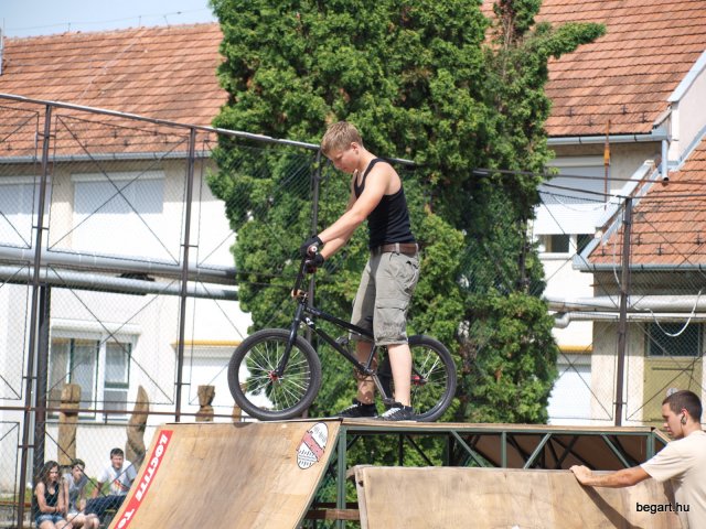 2010 DÖK nap