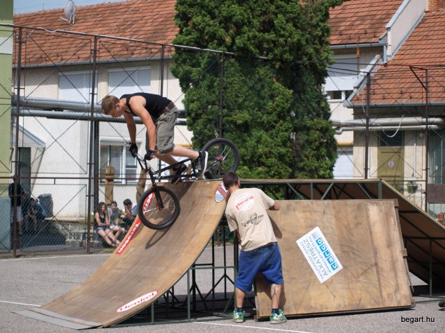 2010 DÖK nap