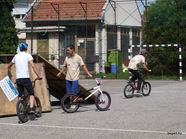 2010 DÖK nap