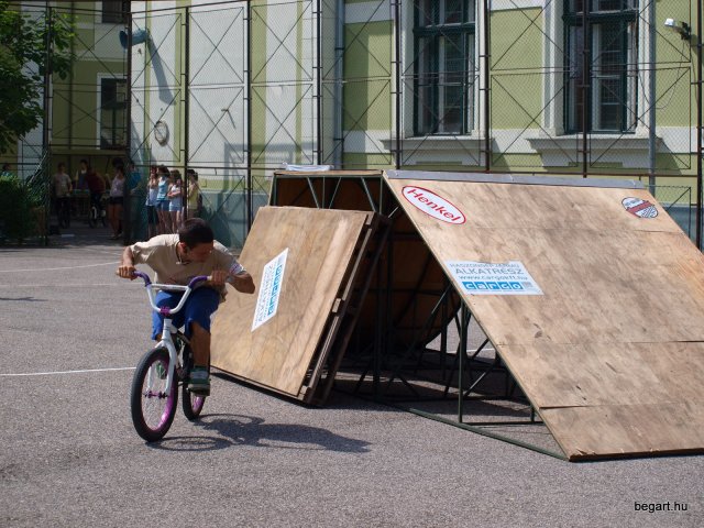 2010 DÖK nap