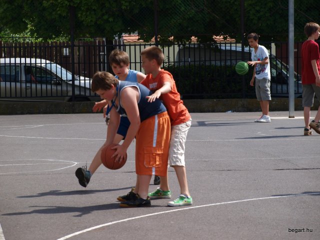 2010 DÖK nap