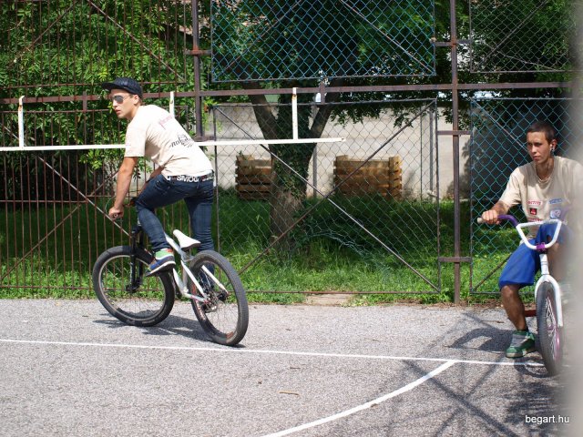 2010 DÖK nap