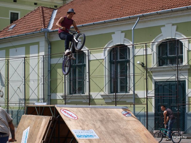 2010 DÖK nap