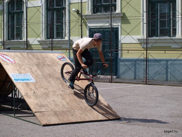 2010 DÖK nap