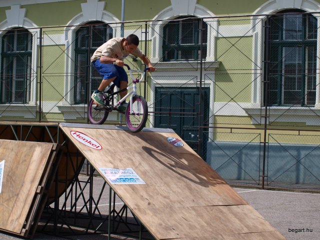 2010 DÖK nap