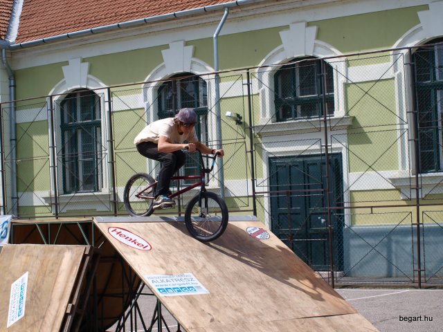 2010 DÖK nap