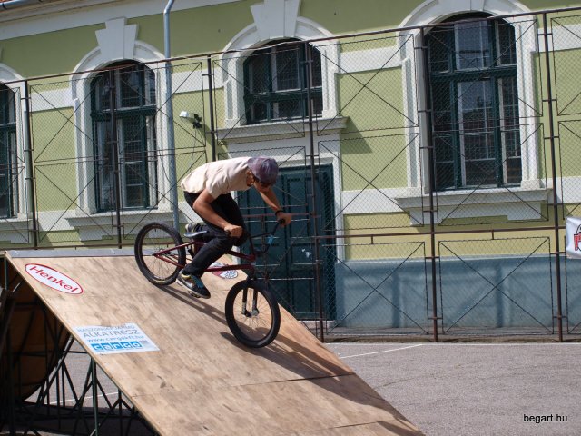 2010 DÖK nap
