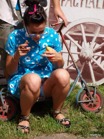 2010 DÖK nap