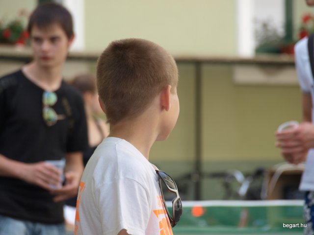 2010 DÖK nap