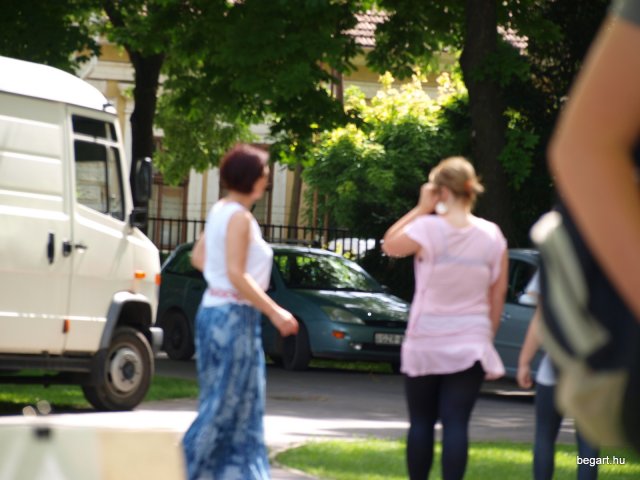 2010 DÖK nap
