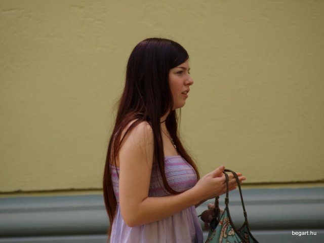 2010 DÖK nap