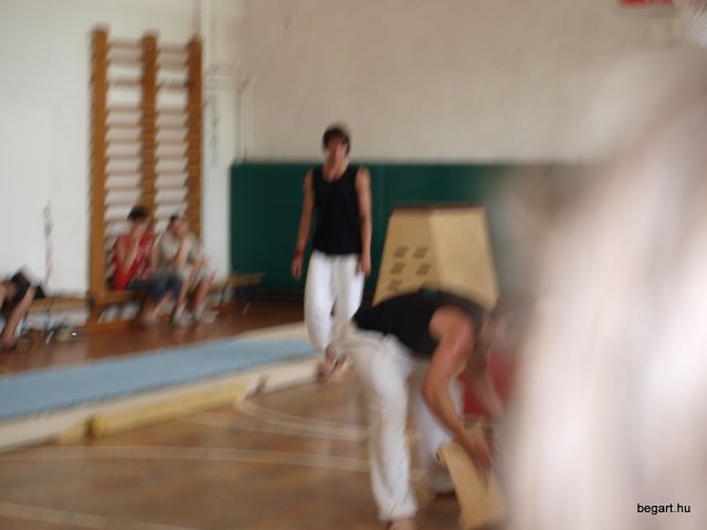 2010 DÖK nap
